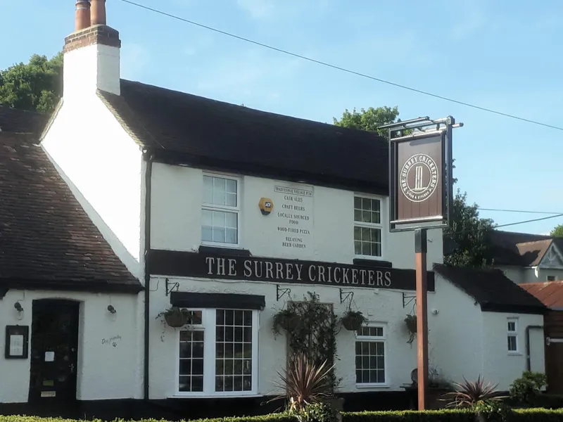 The Surrey Cricketers